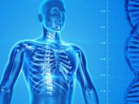 Human body scan on blue background