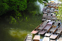 Photo of empty punts on the bank of the river